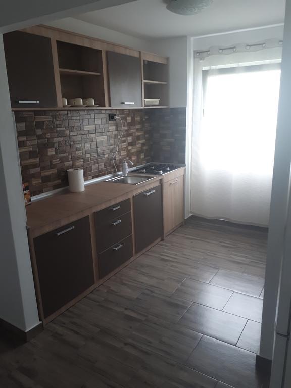 Apartament Faleza Dunarii Orşova Eksteriør billede